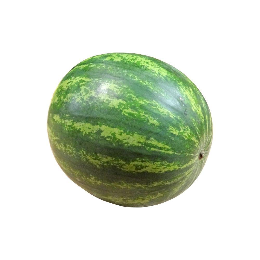 Melon d’eau