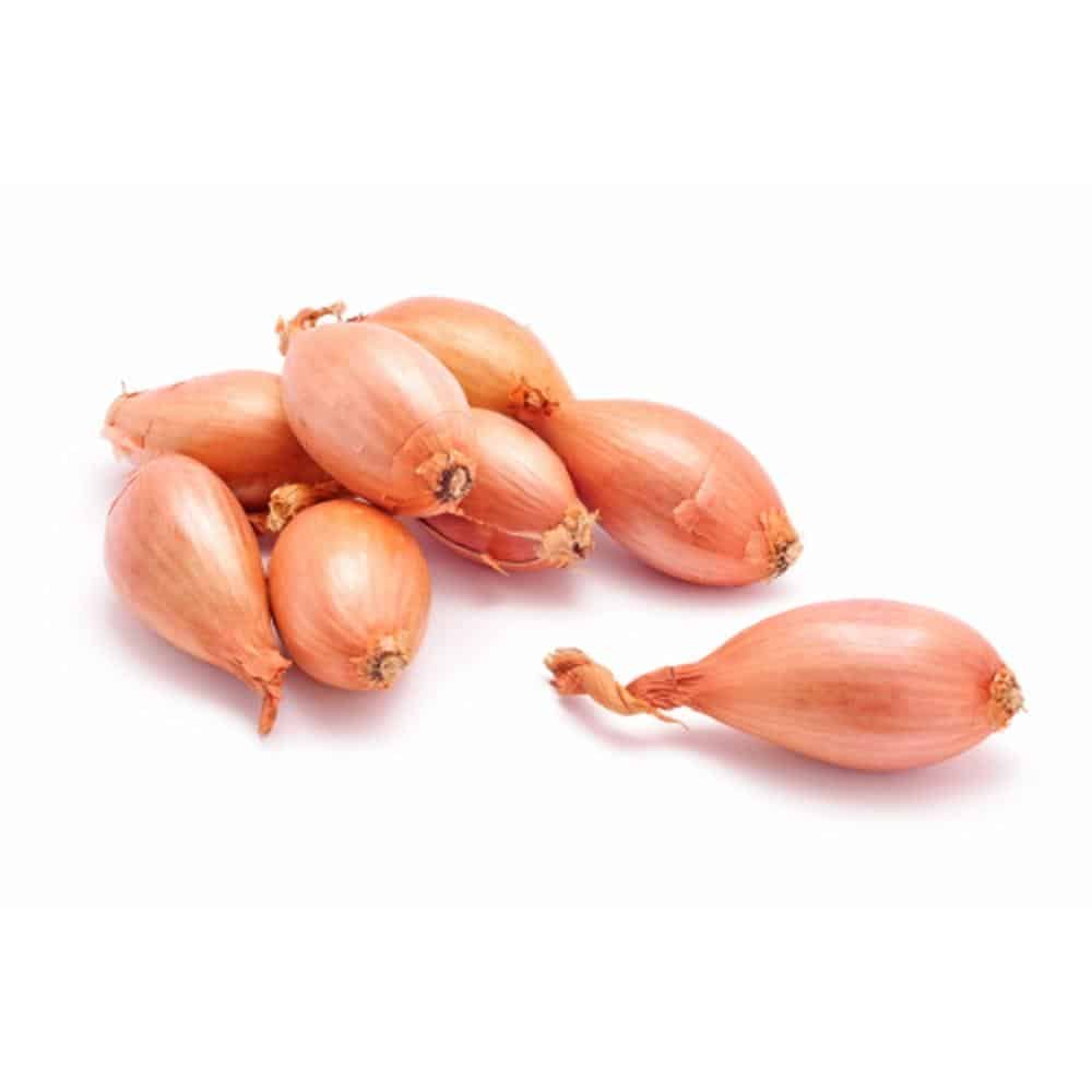 French shallot