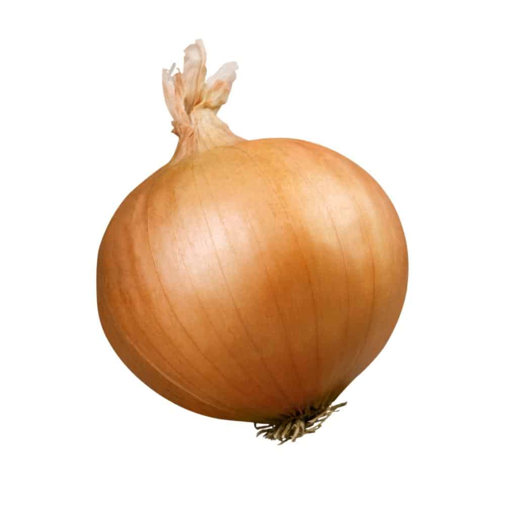 Onion spanish jumbo