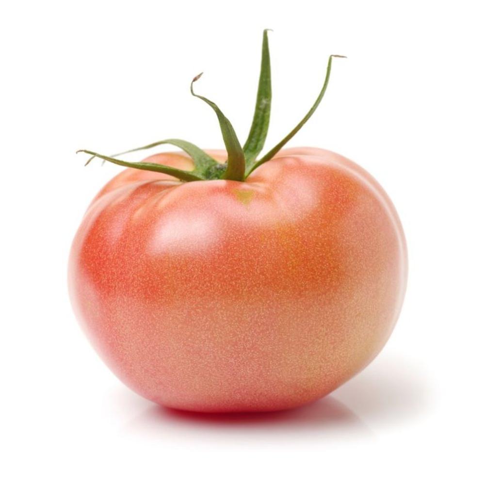 Tomate 6×6