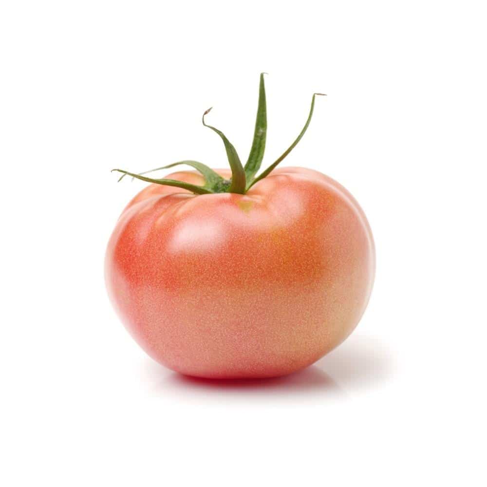 Tomate 6×7