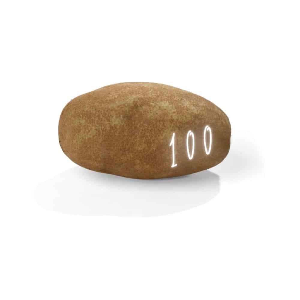 Pomme de terre boite 100