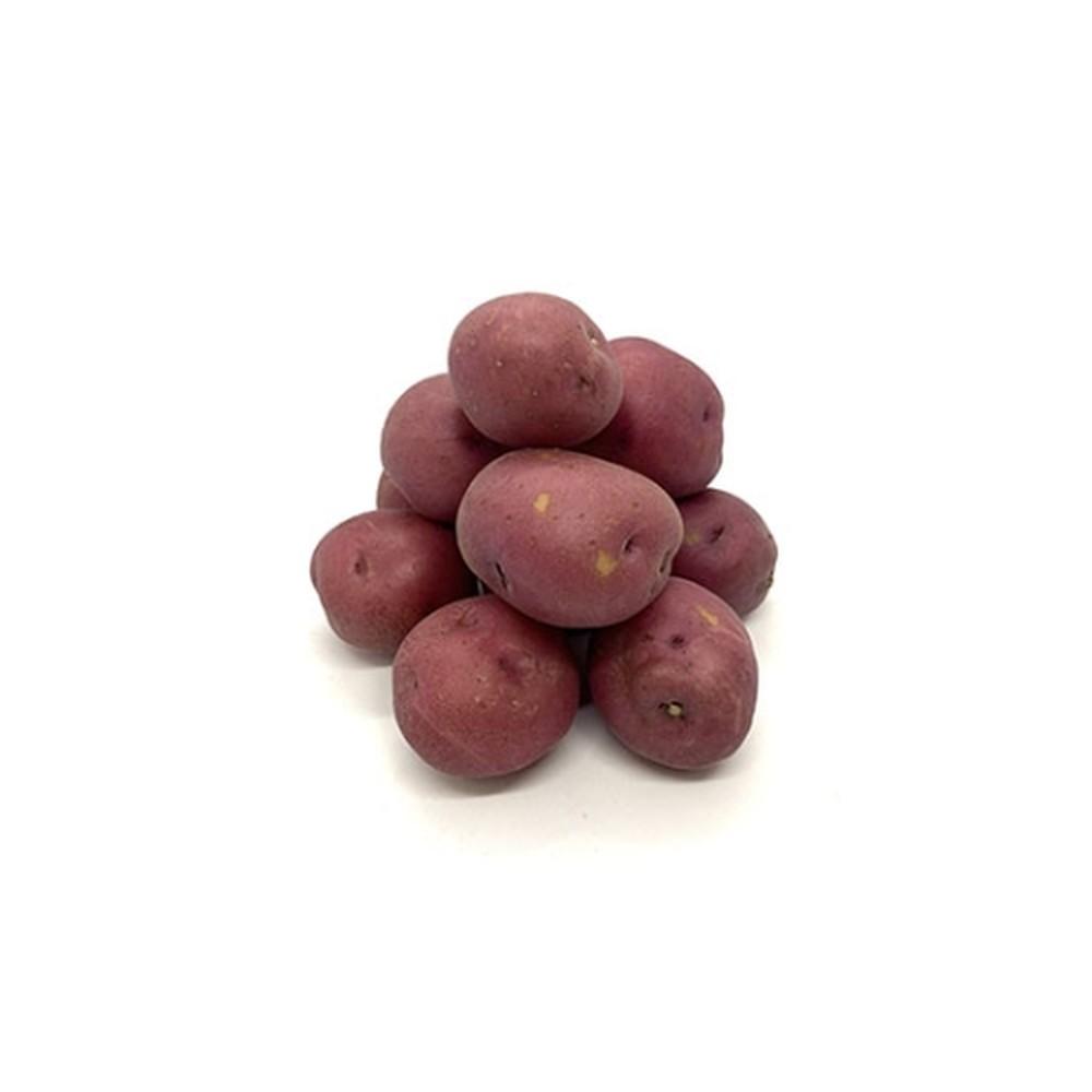 Potato red baby