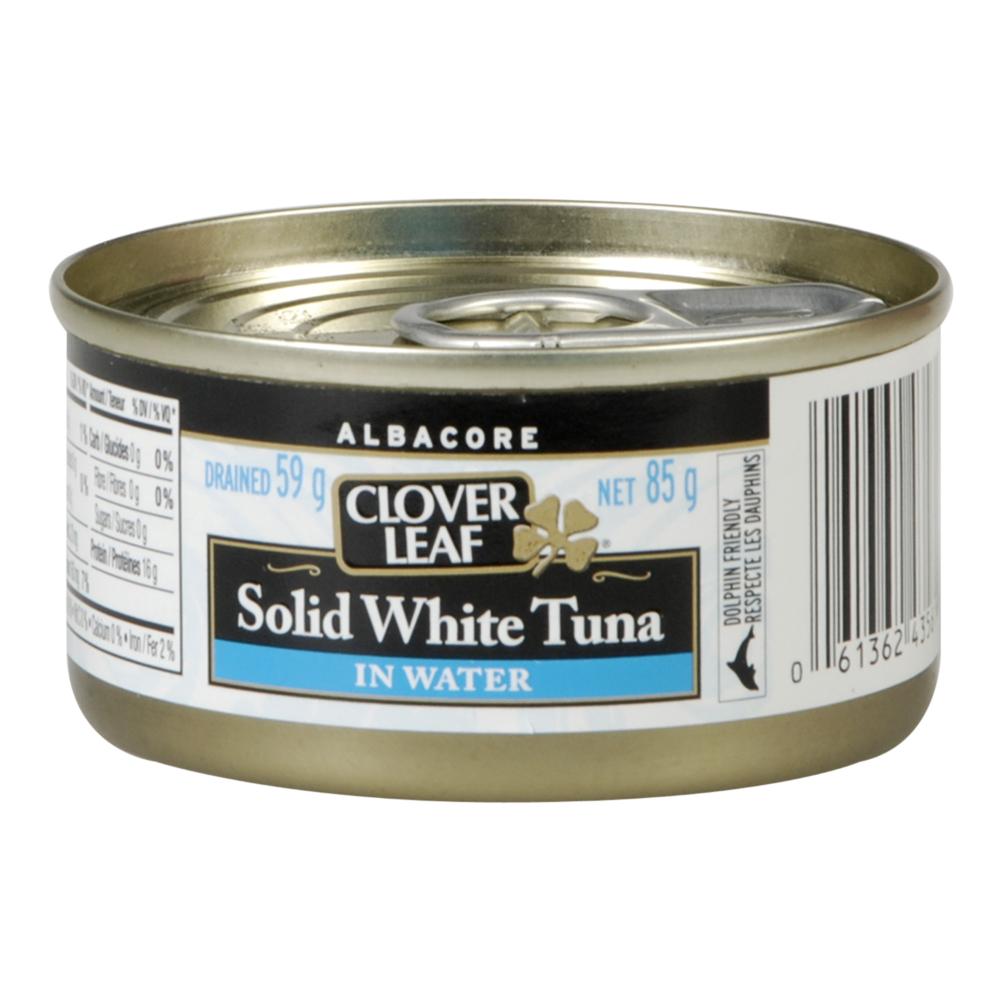 White tuna whole in water