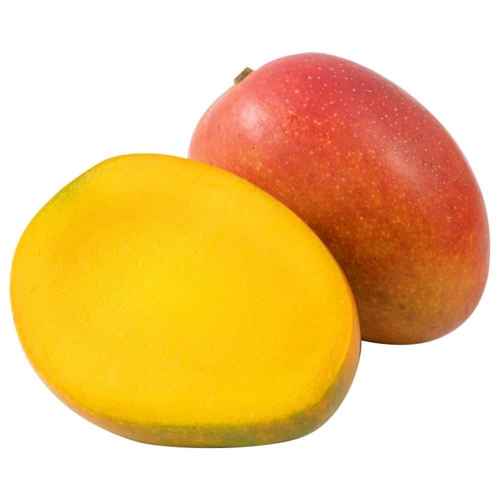 Mangue