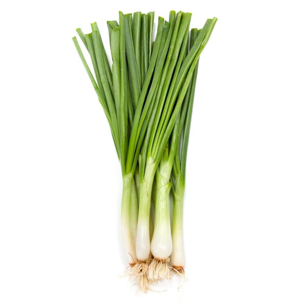 Green onion bunched