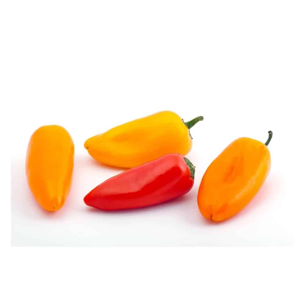 Piment couleur mini