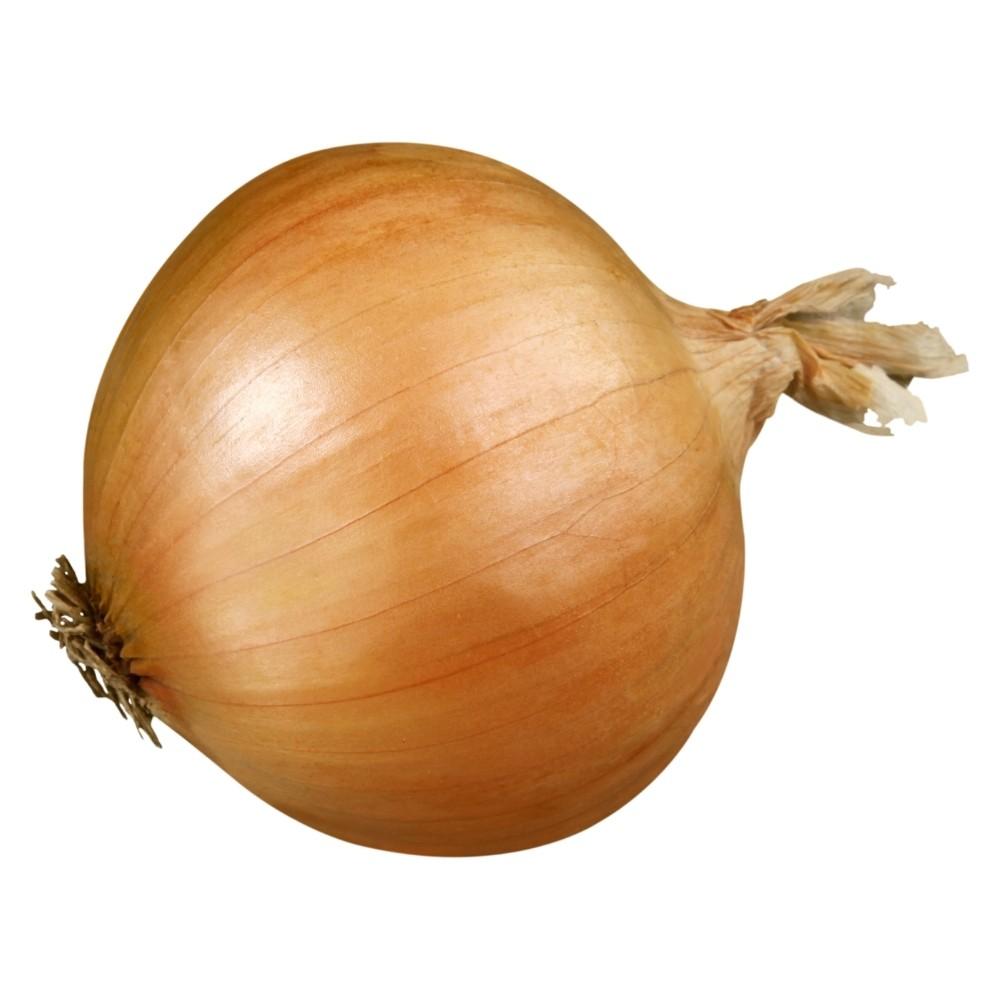 Onion spanish colossol