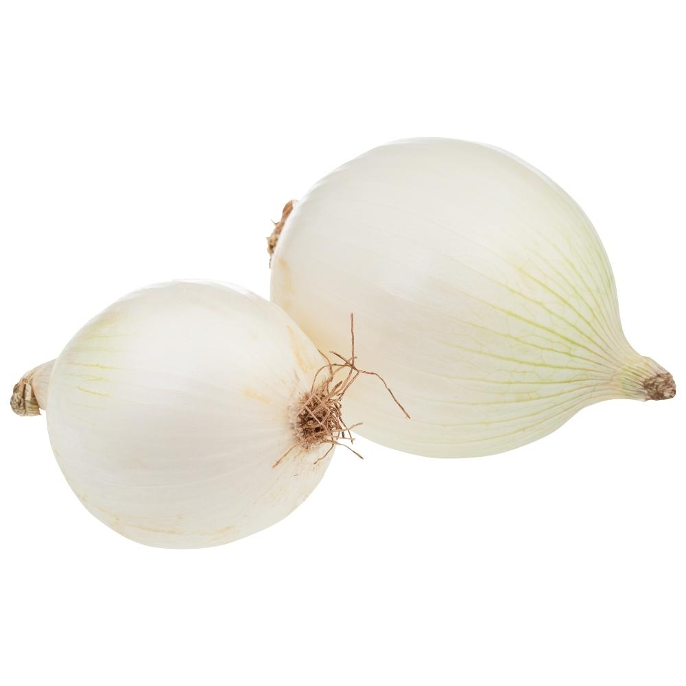 Onion white