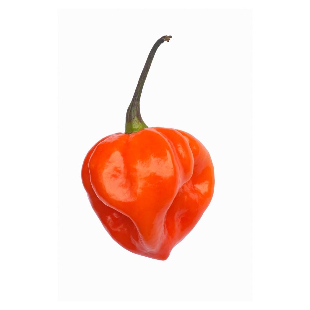 Piment habanero