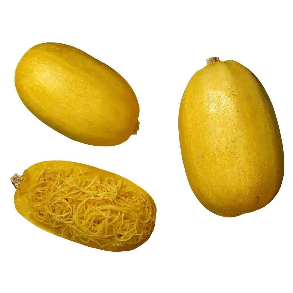 Spaghetti squash