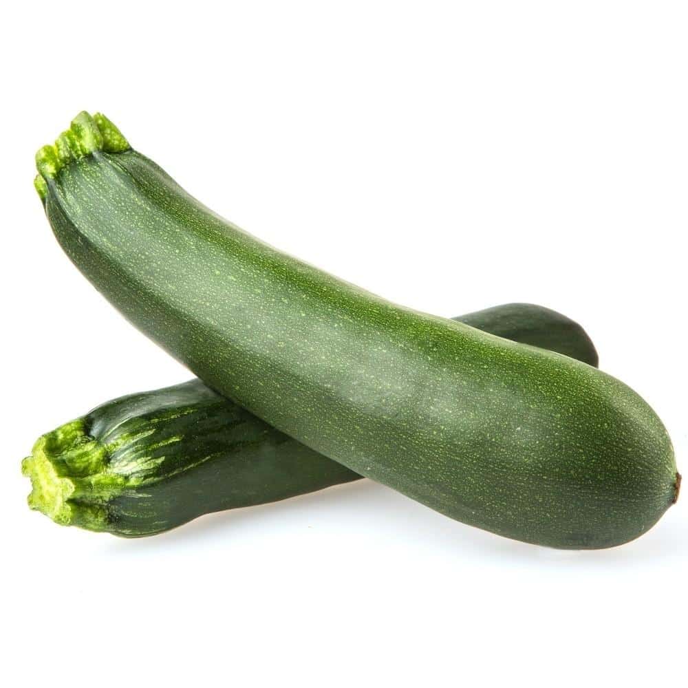 Zucchini vert medium