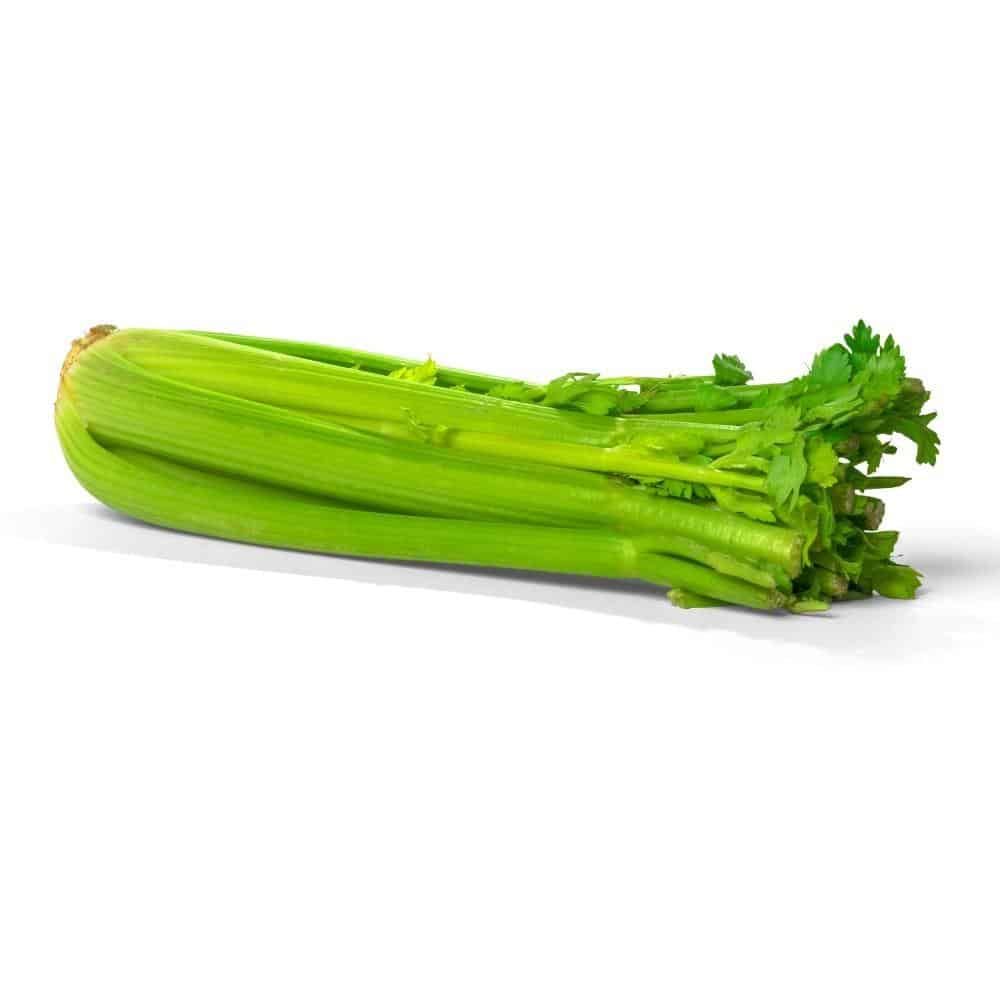 Celery 24 cello