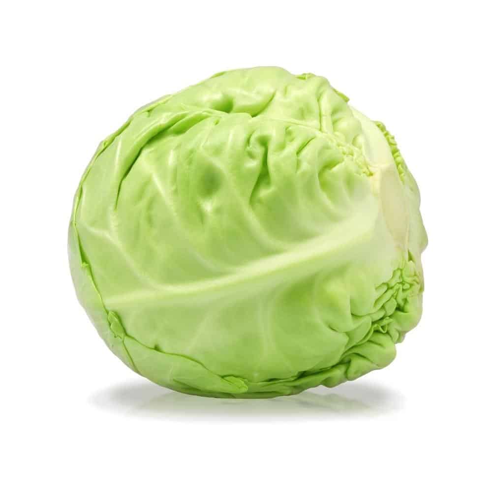 Cabbage green medium size box