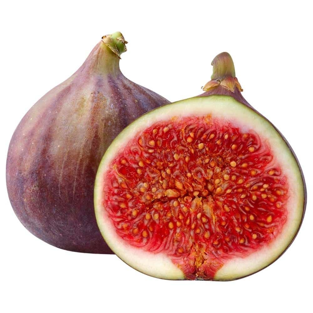 Fig