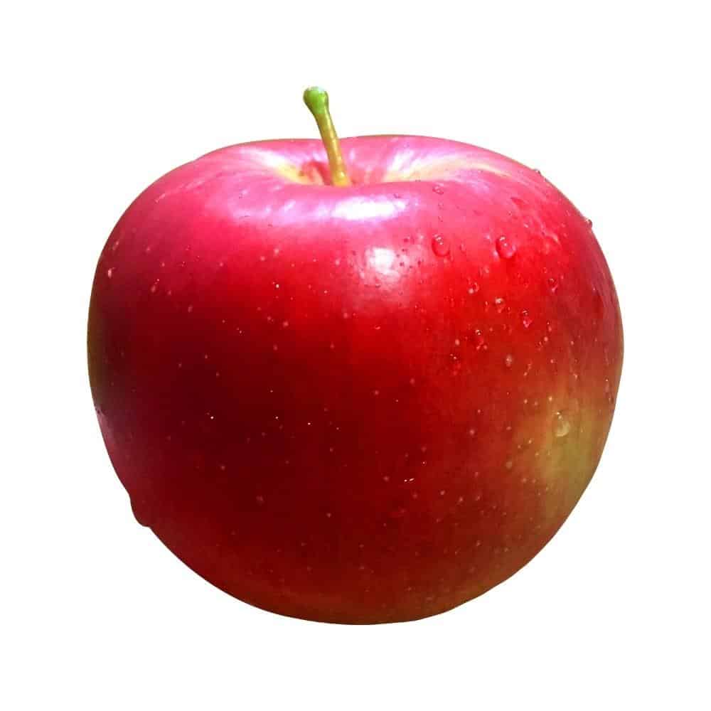 Apple mcintosh