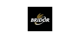 Logo Bridor