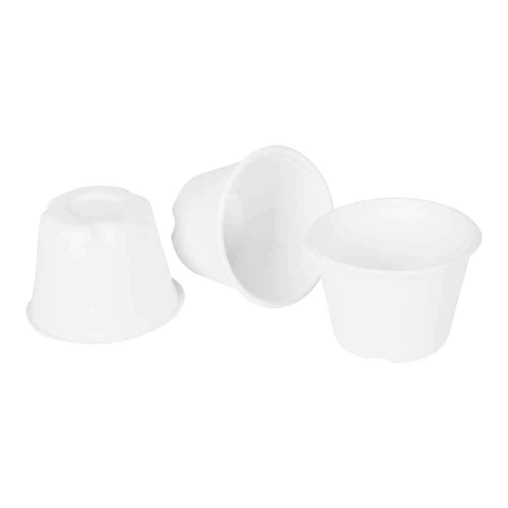 Verre bagasse 4on(dc)